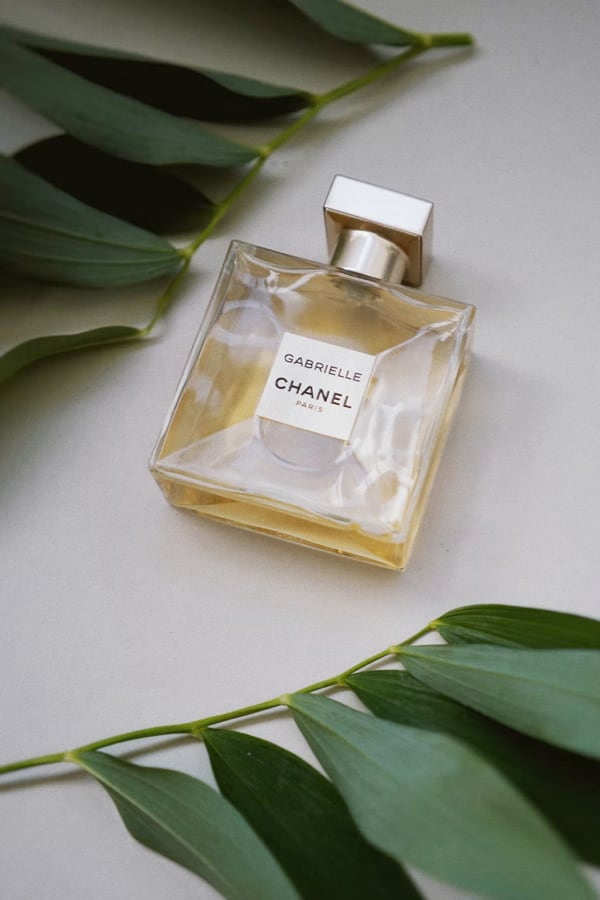 Image of a perfume in a square bottle with a white background and part of a green plant at the two opposite poles.
